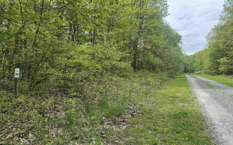 Lot 30 Oak Drive, Albright, West Virginia 26519, ,Lots/land,For Sale,Oak,10159465