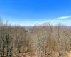 1901 Mountainside Road, Davis, West Virginia 26260, 4 Bedrooms Bedrooms, 8 Rooms Rooms,3 BathroomsBathrooms,Single Family Detached,For Sale,Mountainside,10159463