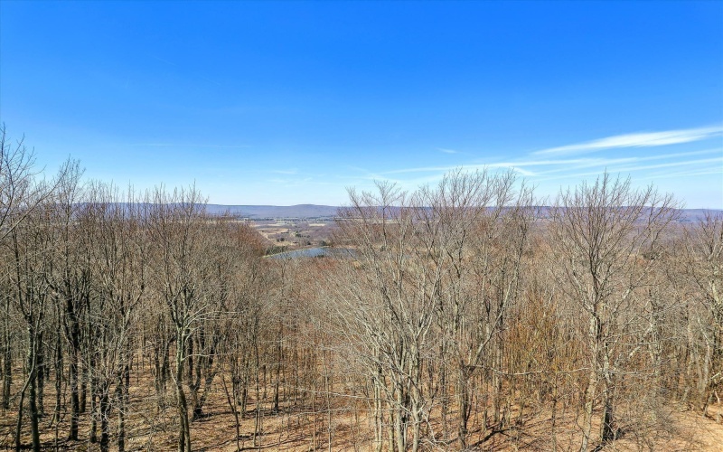 1901 Mountainside Road, Davis, West Virginia 26260, 4 Bedrooms Bedrooms, 8 Rooms Rooms,3 BathroomsBathrooms,Single Family Detached,For Sale,Mountainside,10159463