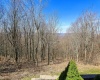 1901 Mountainside Road, Davis, West Virginia 26260, 4 Bedrooms Bedrooms, 8 Rooms Rooms,3 BathroomsBathrooms,Single Family Detached,For Sale,Mountainside,10159463