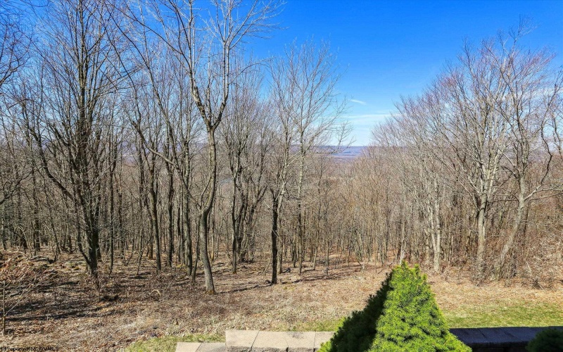 1901 Mountainside Road, Davis, West Virginia 26260, 4 Bedrooms Bedrooms, 8 Rooms Rooms,3 BathroomsBathrooms,Single Family Detached,For Sale,Mountainside,10159463
