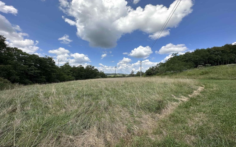 TBD Cuzzart Road, Bruceton Mills, West Virginia 26525, ,Lots/land,For Sale,Cuzzart,10159468