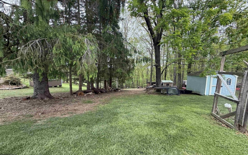 155 Orchard Drive, Buckhannon, West Virginia 26201, 4 Bedrooms Bedrooms, 11 Rooms Rooms,2 BathroomsBathrooms,Single Family Detached,For Sale,Orchard,10159467