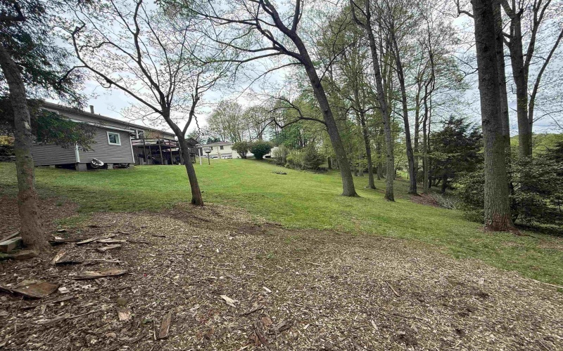 155 Orchard Drive, Buckhannon, West Virginia 26201, 4 Bedrooms Bedrooms, 11 Rooms Rooms,2 BathroomsBathrooms,Single Family Detached,For Sale,Orchard,10159467