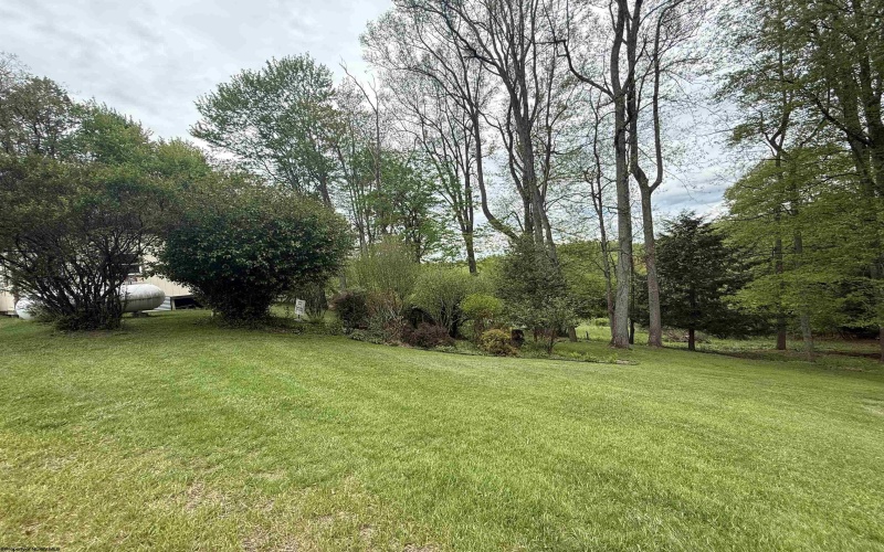 155 Orchard Drive, Buckhannon, West Virginia 26201, 4 Bedrooms Bedrooms, 11 Rooms Rooms,2 BathroomsBathrooms,Single Family Detached,For Sale,Orchard,10159467