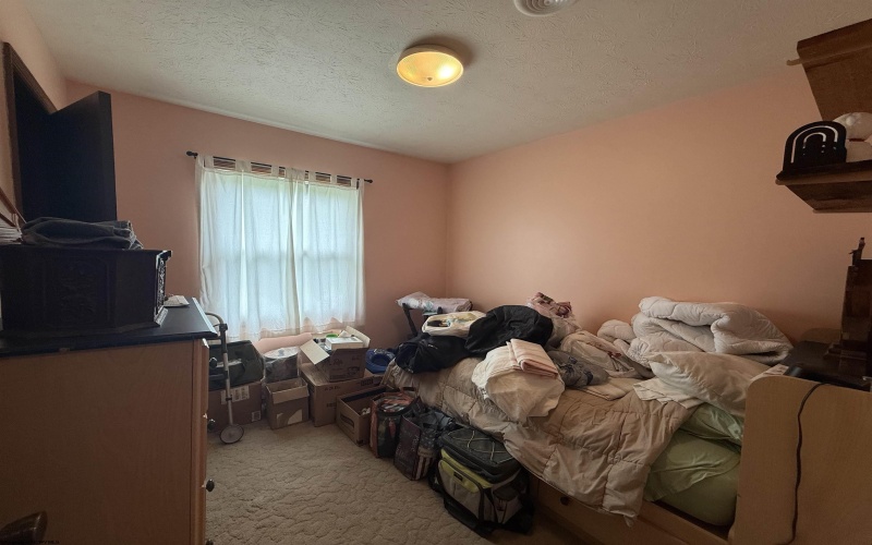 155 Orchard Drive, Buckhannon, West Virginia 26201, 4 Bedrooms Bedrooms, 11 Rooms Rooms,2 BathroomsBathrooms,Single Family Detached,For Sale,Orchard,10159467