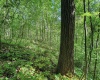 TBD 4 States Road, Worthington, West Virginia 26572, ,Lots/land,For Sale,States,10159495