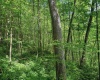 TBD 4 States Road, Worthington, West Virginia 26572, ,Lots/land,For Sale,States,10159495