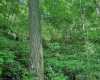 TBD 4 States Road, Worthington, West Virginia 26572, ,Lots/land,For Sale,States,10159495