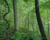 TBD 4 States Road, Worthington, West Virginia 26572, ,Lots/land,For Sale,States,10159495