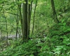 TBD 4 States Road, Worthington, West Virginia 26572, ,Lots/land,For Sale,States,10159495