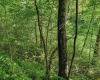 TBD 4 States Road, Worthington, West Virginia 26572, ,Lots/land,For Sale,States,10159495