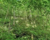 TBD 4 States Road, Worthington, West Virginia 26572, ,Lots/land,For Sale,States,10159495