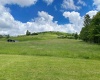 8816 Turkey Bone Road, Pickens, West Virginia 26230, ,Lots/land,For Sale,Turkey Bone,10159488