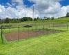8816 Turkey Bone Road, Pickens, West Virginia 26230, ,Lots/land,For Sale,Turkey Bone,10159488