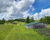 8816 Turkey Bone Road, Pickens, West Virginia 26230, ,Lots/land,For Sale,Turkey Bone,10159488