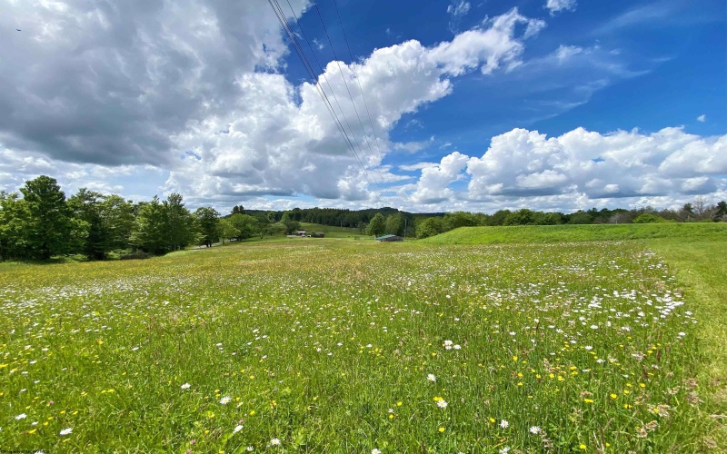 8816 Turkey Bone Road, Pickens, West Virginia 26230, ,Lots/land,For Sale,Turkey Bone,10159488