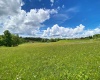 8816 Turkey Bone Road, Pickens, West Virginia 26230, ,Lots/land,For Sale,Turkey Bone,10159488