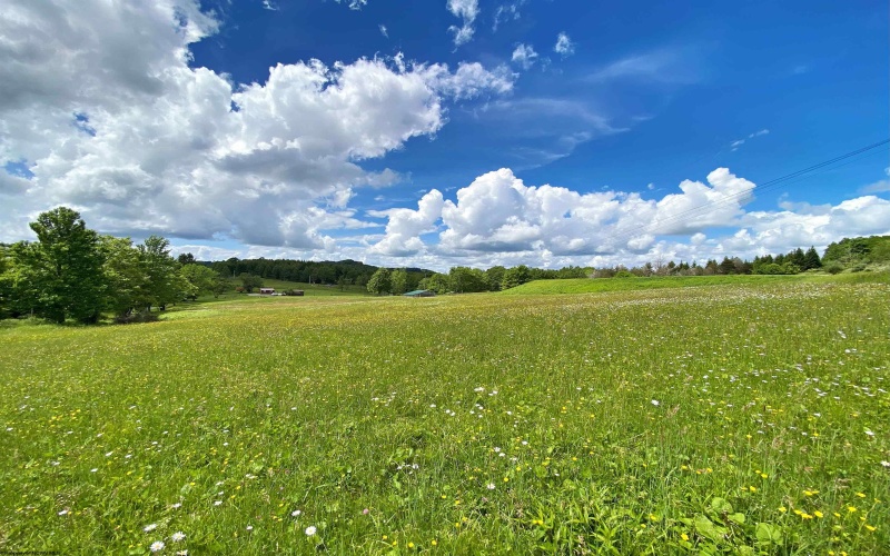 8816 Turkey Bone Road, Pickens, West Virginia 26230, ,Lots/land,For Sale,Turkey Bone,10159488