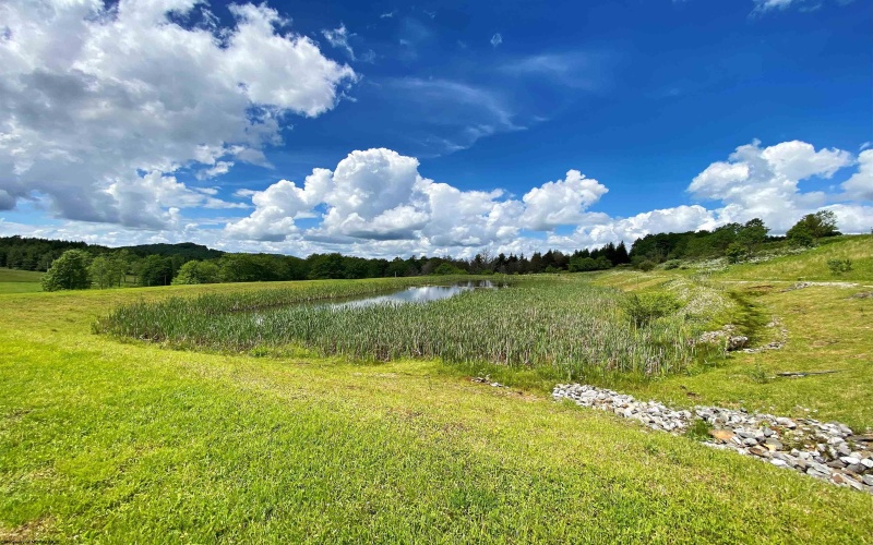 8816 Turkey Bone Road, Pickens, West Virginia 26230, ,Lots/land,For Sale,Turkey Bone,10159488