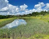 8816 Turkey Bone Road, Pickens, West Virginia 26230, ,Lots/land,For Sale,Turkey Bone,10159488