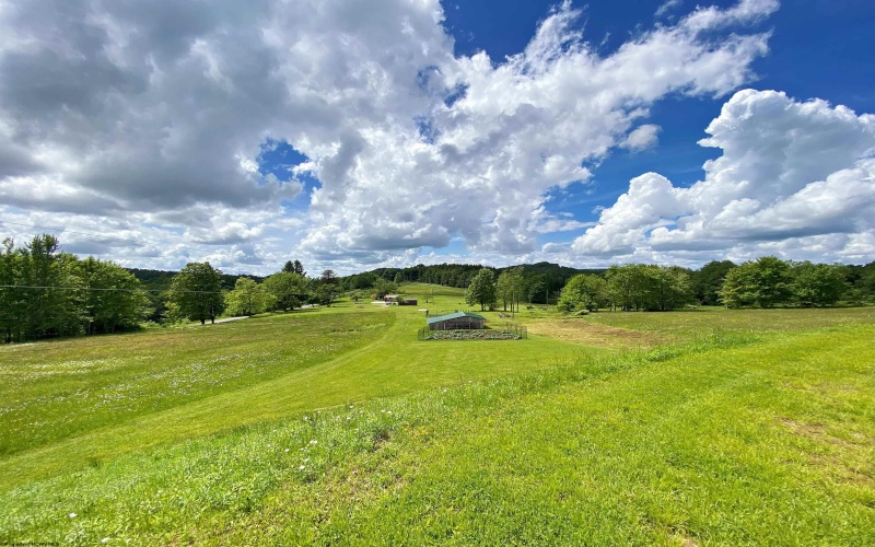 8816 Turkey Bone Road, Pickens, West Virginia 26230, ,Lots/land,For Sale,Turkey Bone,10159488