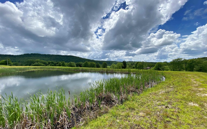 8816 Turkey Bone Road, Pickens, West Virginia 26230, ,Lots/land,For Sale,Turkey Bone,10159488