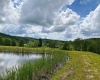 8816 Turkey Bone Road, Pickens, West Virginia 26230, ,Lots/land,For Sale,Turkey Bone,10159488