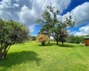 8816 Turkey Bone Road, Pickens, West Virginia 26230, ,Lots/land,For Sale,Turkey Bone,10159488