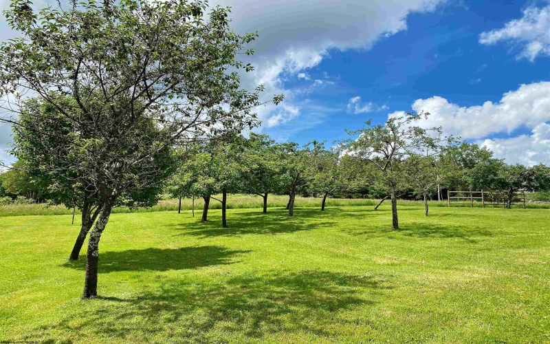 8816 Turkey Bone Road, Pickens, West Virginia 26230, ,Lots/land,For Sale,Turkey Bone,10159488