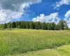 8816 Turkey Bone Road, Pickens, West Virginia 26230, ,Lots/land,For Sale,Turkey Bone,10159488