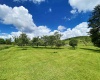 8816 Turkey Bone Road, Pickens, West Virginia 26230, ,Lots/land,For Sale,Turkey Bone,10159488
