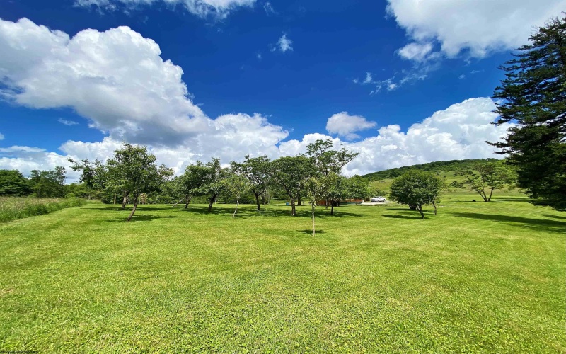 8816 Turkey Bone Road, Pickens, West Virginia 26230, ,Lots/land,For Sale,Turkey Bone,10159488