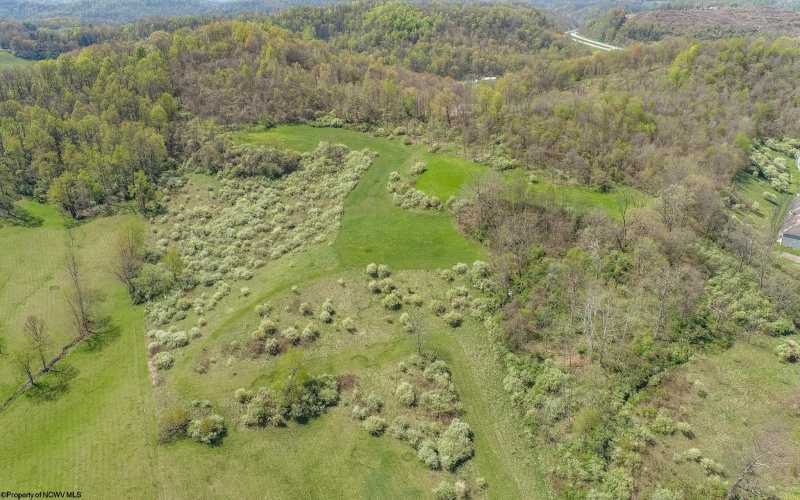 TBD Benedum Run Road, Anmoore, West Virginia 26323, ,Lots/land,For Sale,Benedum Run,10159489