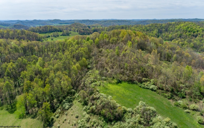 TBD Benedum Run Road, Anmoore, West Virginia 26323, ,Lots/land,For Sale,Benedum Run,10159489