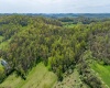 TBD Benedum Run Road, Anmoore, West Virginia 26323, ,Lots/land,For Sale,Benedum Run,10159489