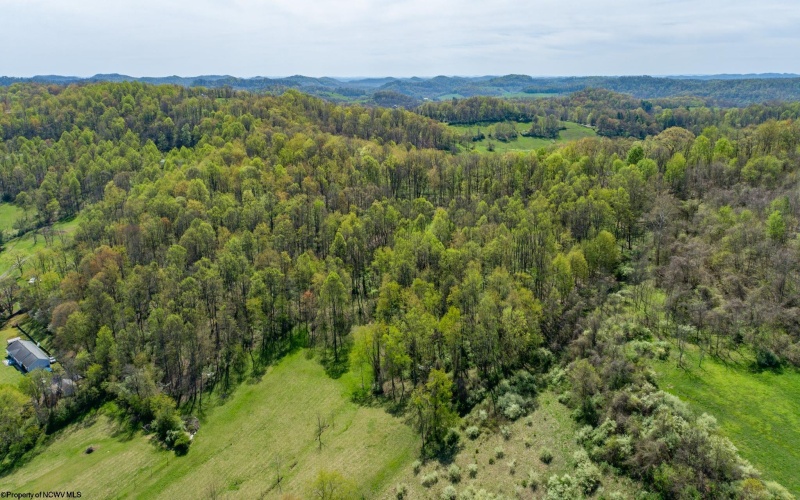 TBD Benedum Run Road, Anmoore, West Virginia 26323, ,Lots/land,For Sale,Benedum Run,10159489