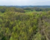 TBD Benedum Run Road, Anmoore, West Virginia 26323, ,Lots/land,For Sale,Benedum Run,10159489
