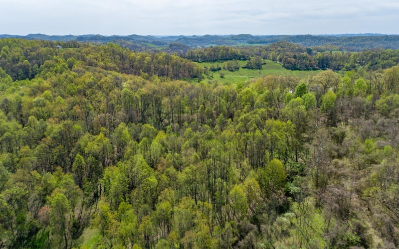 TBD Benedum Run Road, Anmoore, West Virginia 26323, ,Lots/land,For Sale,Benedum Run,10159489