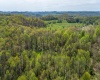 TBD Benedum Run Road, Anmoore, West Virginia 26323, ,Lots/land,For Sale,Benedum Run,10159489