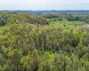 TBD Benedum Run Road, Anmoore, West Virginia 26323, ,Lots/land,For Sale,Benedum Run,10159489