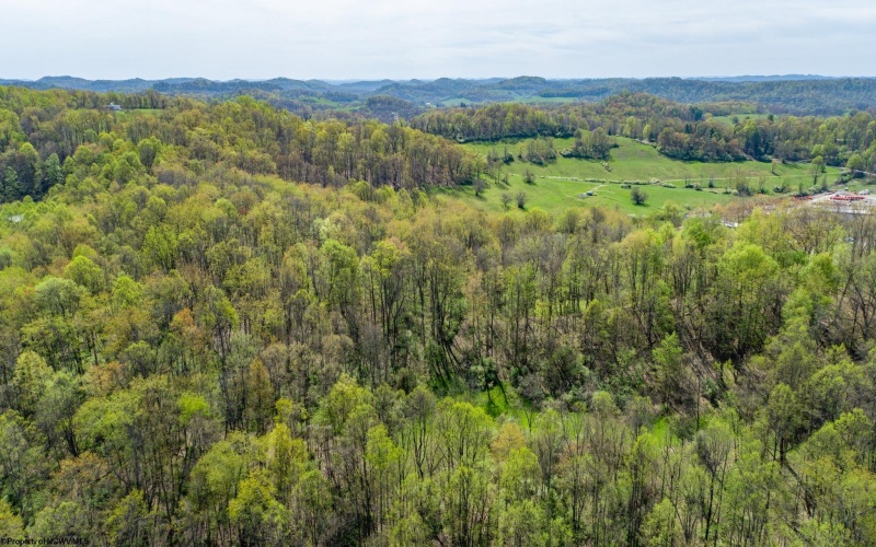 TBD Benedum Run Road, Anmoore, West Virginia 26323, ,Lots/land,For Sale,Benedum Run,10159489