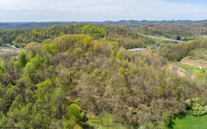 TBD Benedum Run Road, Anmoore, West Virginia 26323, ,Lots/land,For Sale,Benedum Run,10159489
