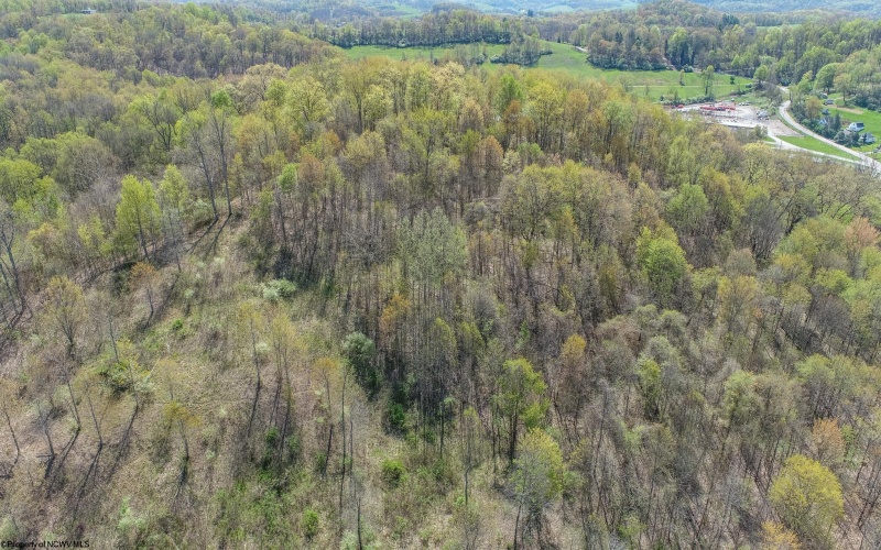 TBD Benedum Run Road, Anmoore, West Virginia 26323, ,Lots/land,For Sale,Benedum Run,10159489