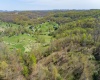TBD Benedum Run Road, Anmoore, West Virginia 26323, ,Lots/land,For Sale,Benedum Run,10159489