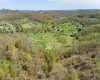 TBD Benedum Run Road, Anmoore, West Virginia 26323, ,Lots/land,For Sale,Benedum Run,10159489