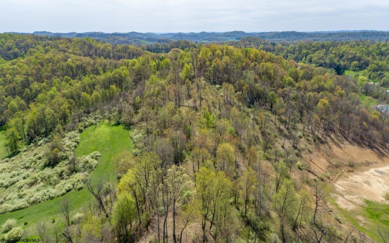TBD Benedum Run Road, Anmoore, West Virginia 26323, ,Lots/land,For Sale,Benedum Run,10159489