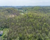 TBD Benedum Run Road, Anmoore, West Virginia 26323, ,Lots/land,For Sale,Benedum Run,10159489