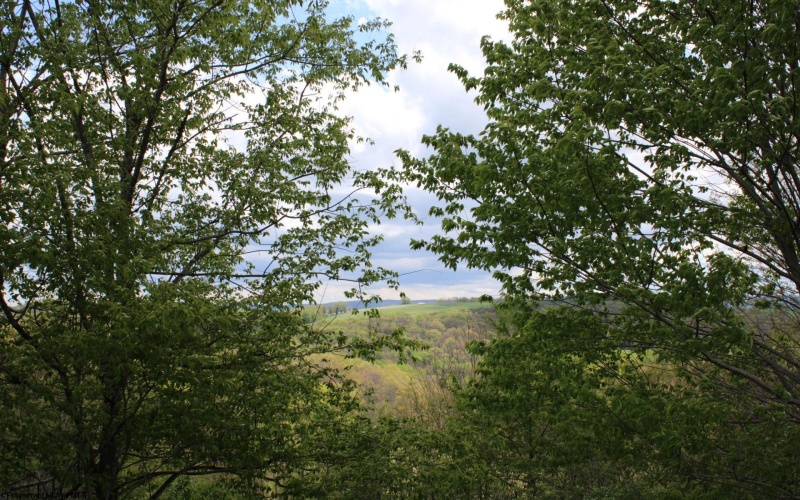 5360 Stemple Ridge Road, Aurora, West Virginia 26705, ,Lots/land,For Sale,Stemple Ridge,10159490