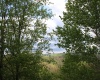 5360 Stemple Ridge Road, Aurora, West Virginia 26705, ,Lots/land,For Sale,Stemple Ridge,10159490